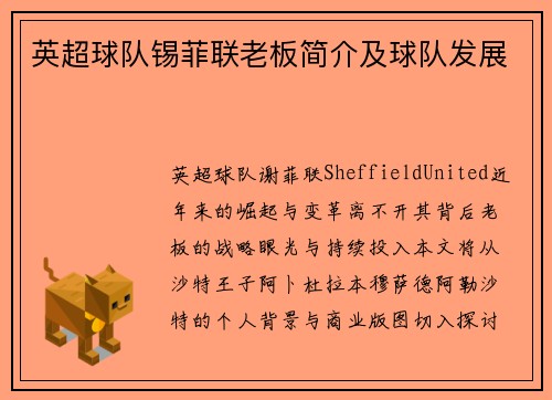 英超球队锡菲联老板简介及球队发展